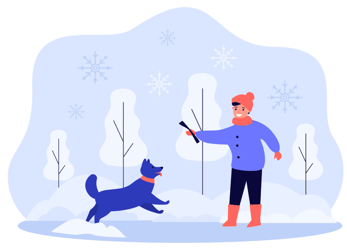 playing with dog in snow