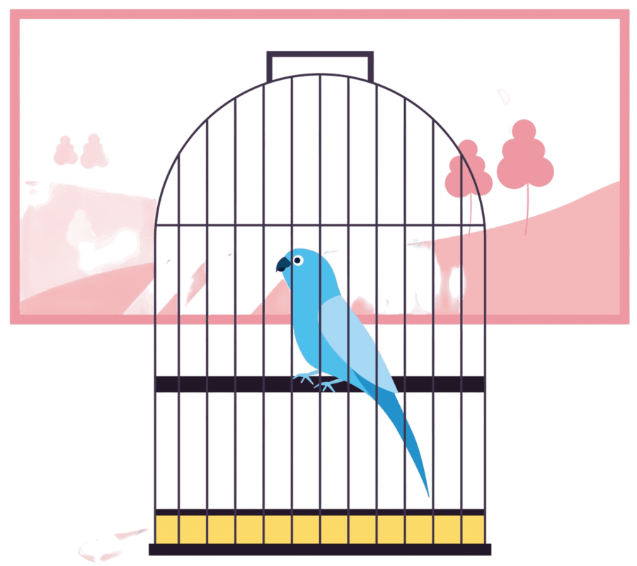 bird cage